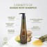 Small Pukong Ginger Root Shampoo n Hair Mask BUNDLE